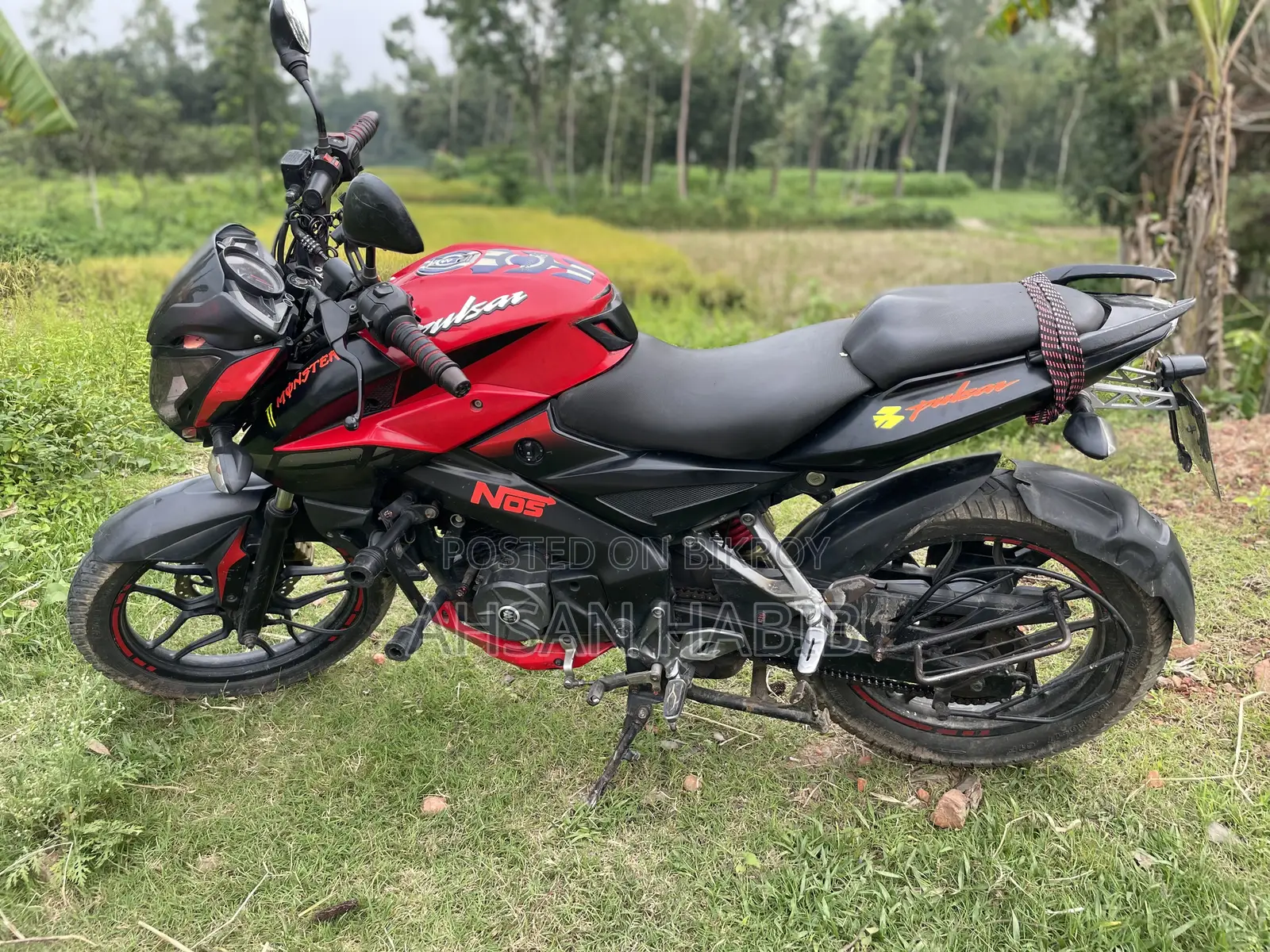 Bajaj Pulsar NS 160 2019 Red