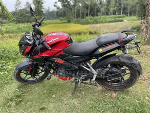 Bajaj Pulsar NS 160 2019 Red