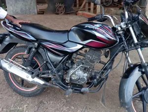 বাজাজ ডিসকভার ১০০ ২০১৬ গ্রে