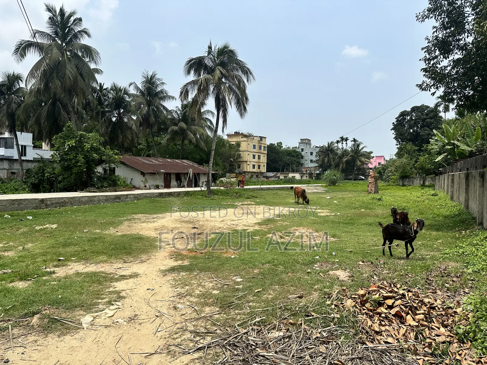 চট্টগ্রামে সুন্দর লোকেশনে প্লট বিক্রয়