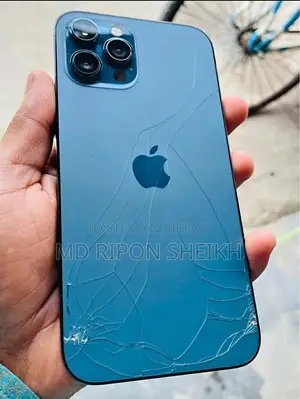অ্যাপল আইফোন ১২ প্রো ম্যাক্স ১২৮ জিবি পার্পল