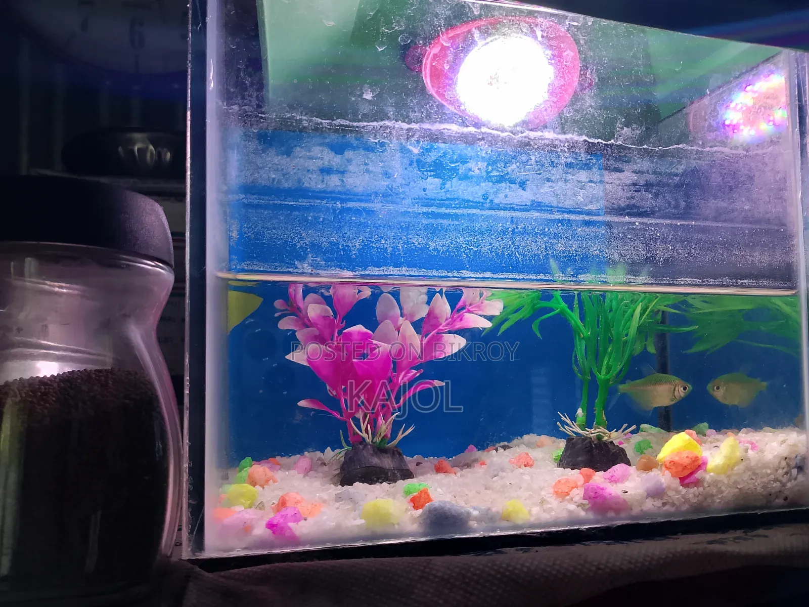 Aquarium Set For Sale