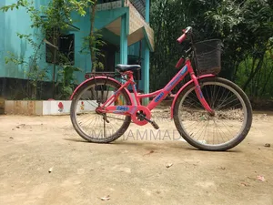 বাই সাইকেল