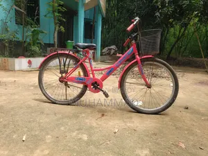 বাই সাইকেল