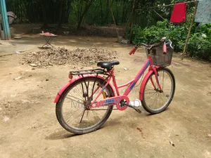 বাই সাইকেল
