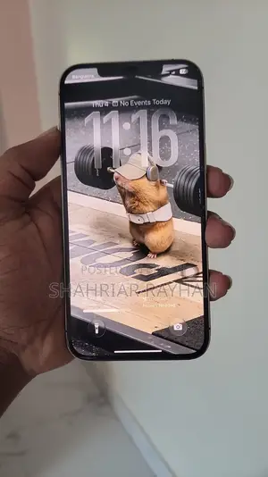 অ্যাপল আইফোন ১২ প্রো ম্যাক্স ২৫৬ জিবি গোল্ড