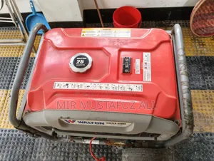 Walton Igniter - 5500e Generator
