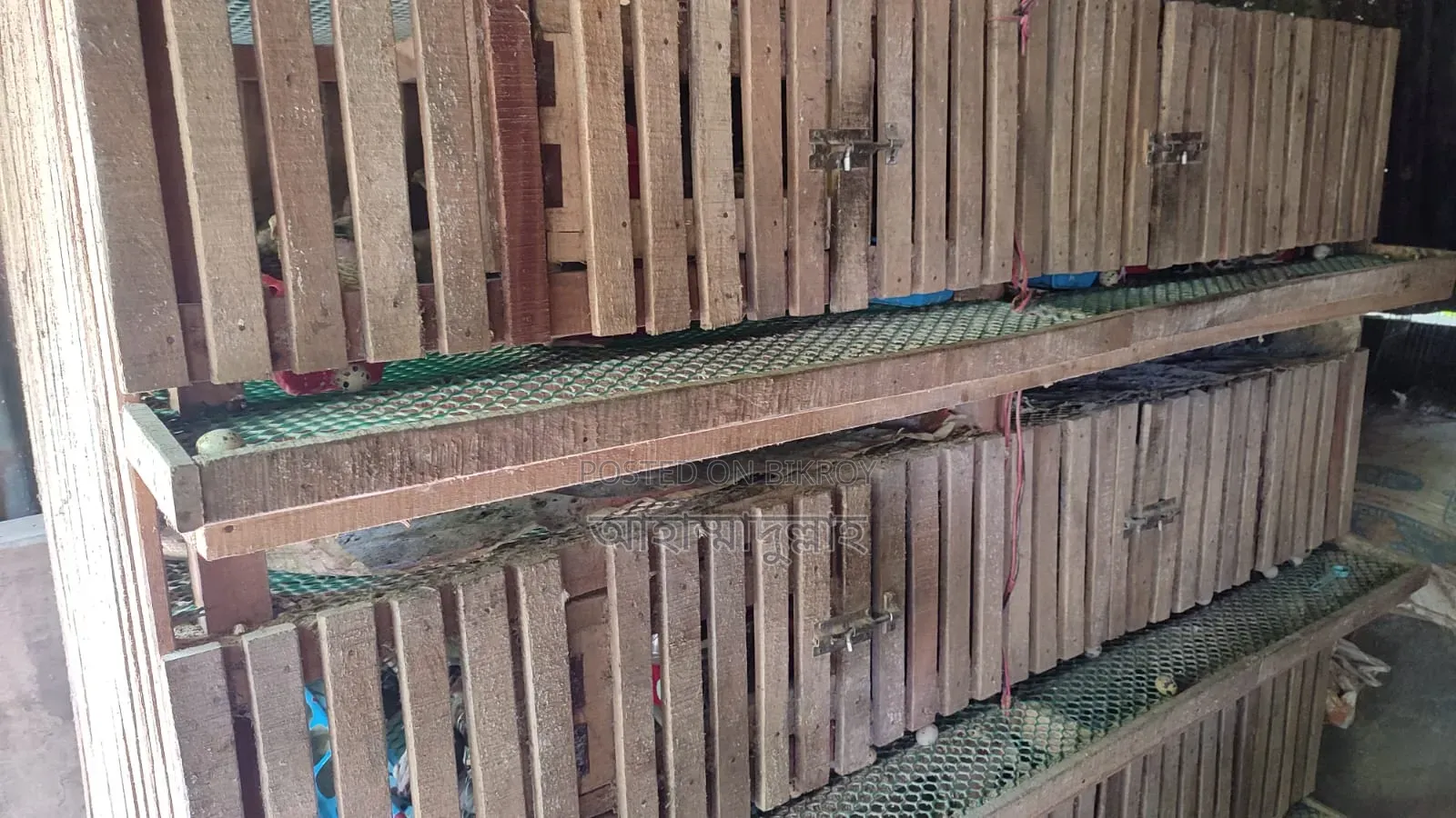 2 Quail Cages (Wood + Iron)