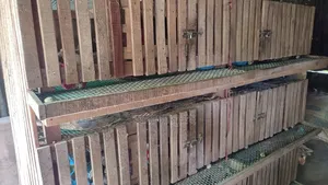 2 Quail Cages (Wood + Iron)