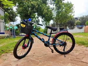 20-inch Kids Bicycle | Front Basket Included | Best Gift For Kids |