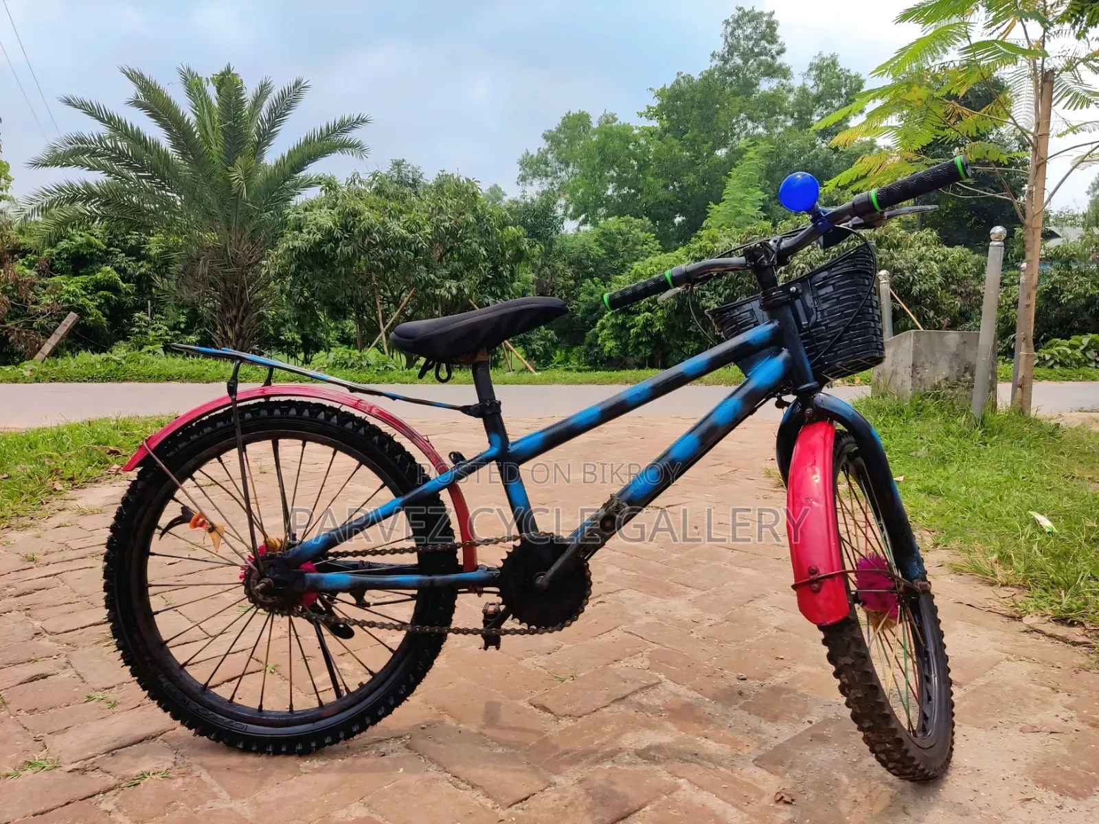 20-inch Kids Bicycle | Front Basket Included | Best Gift For Kids |