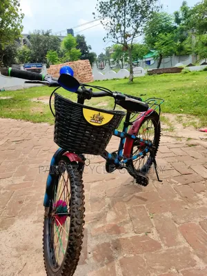 20-inch Kids Bicycle | Front Basket Included | Best Gift For Kids |