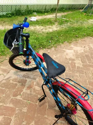 20-inch Kids Bicycle | Front Basket Included | Best Gift For Kids |