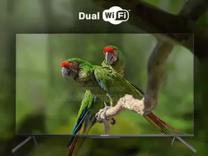 ভয়েস কন্ট্রোল স্মার্ট অ্যান্ড্রয়েড হাই রেজোলিউশন এলইডি টিভি ৪৩ ইঞ্চি সনি