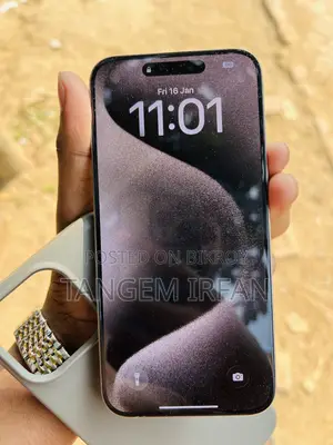 Apple iPhone 15 Pro Max 256 GB