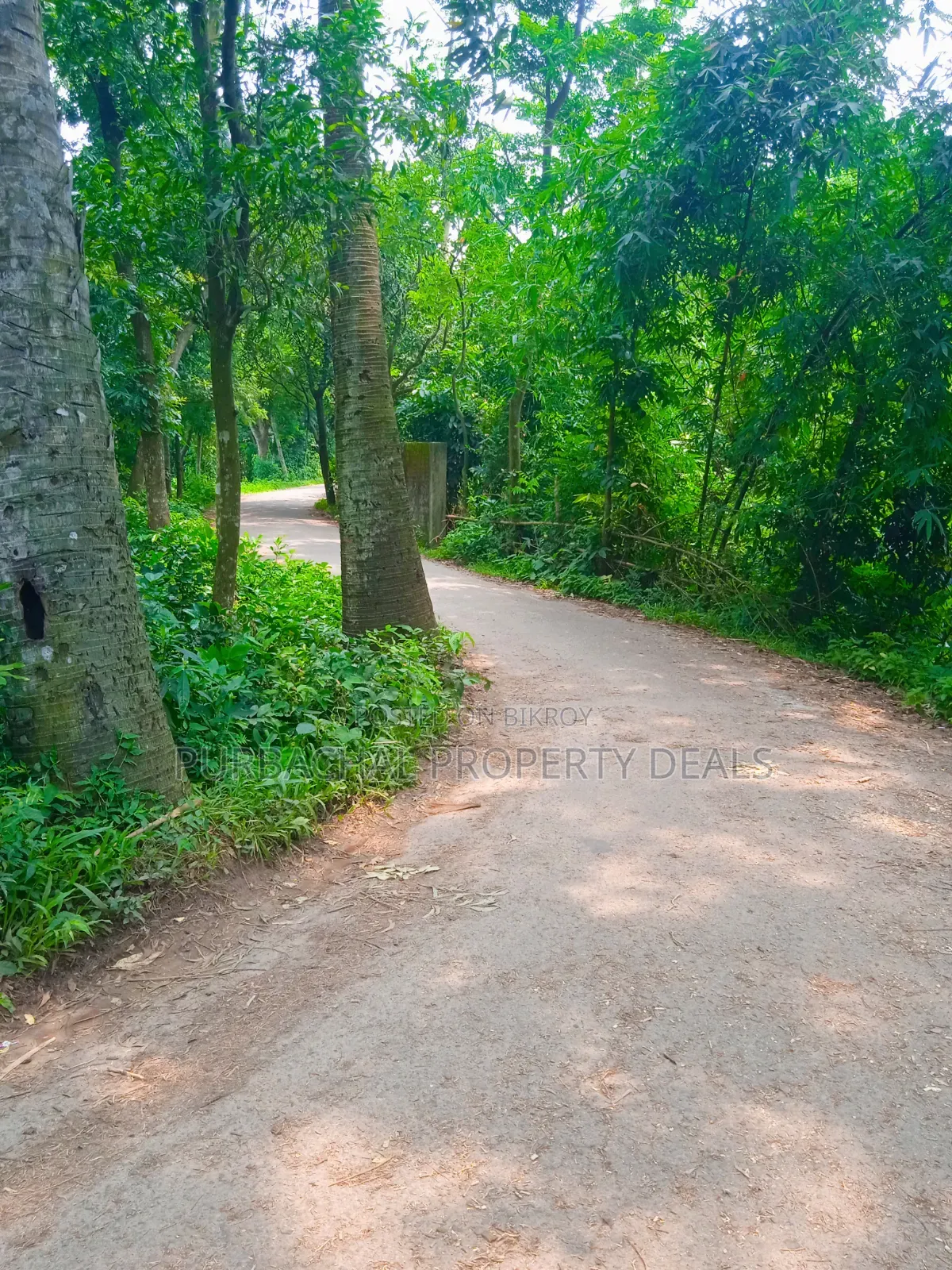 কালীগঞ্জের নাগরী ইউনিয়নে ২০ কাঠা প্রিমিয়াম জমি বিক্রয়