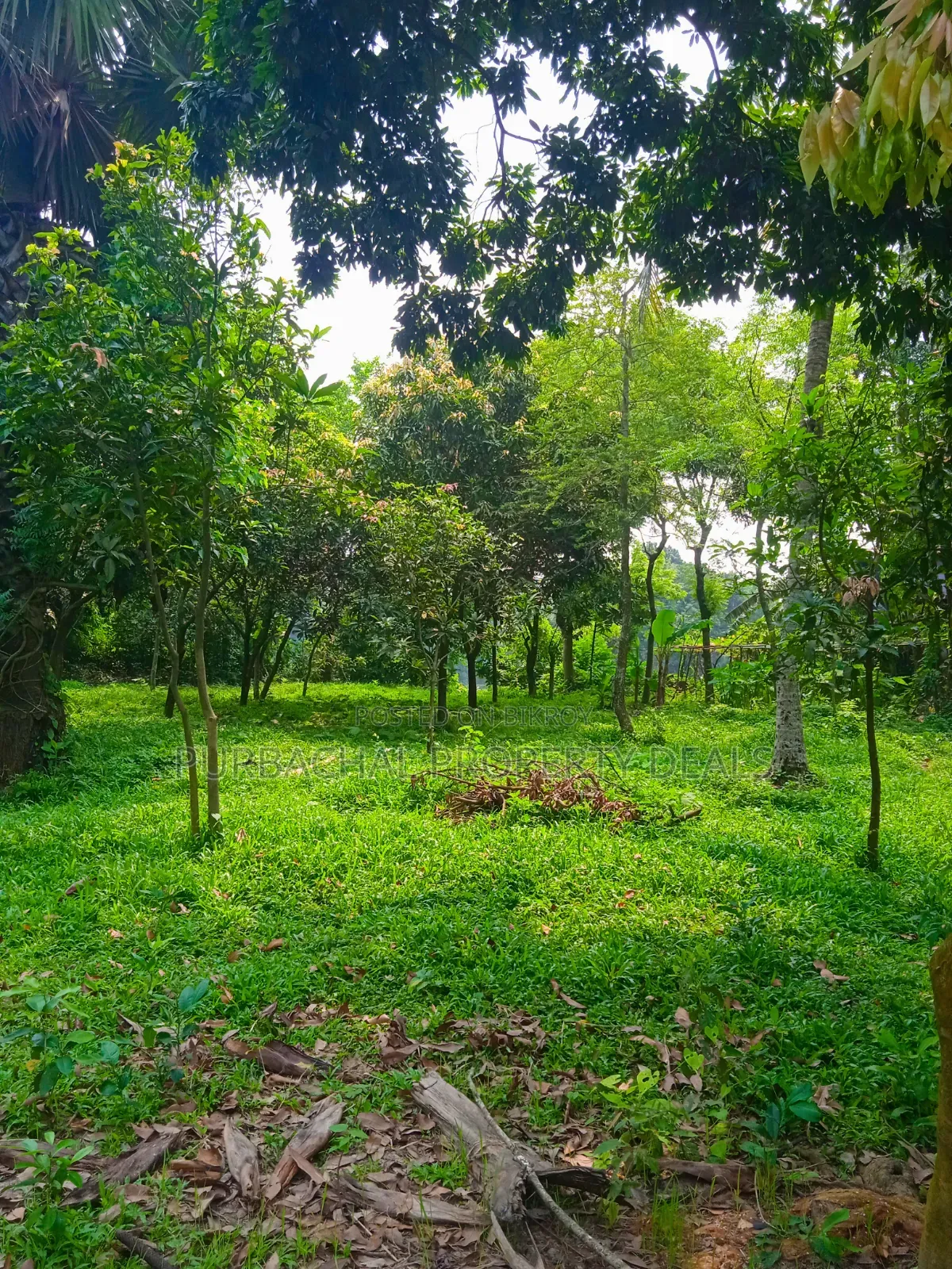 কালীগঞ্জের নাগরী ইউনিয়নে ২০ কাঠা প্রিমিয়াম জমি বিক্রয়