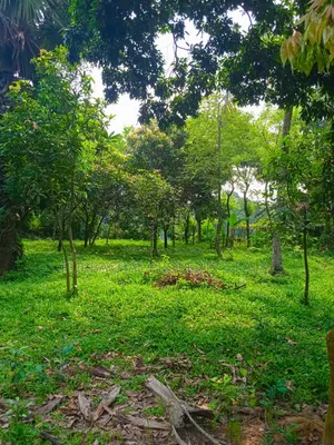 কালীগঞ্জের নাগরী ইউনিয়নে ২০ কাঠা প্রিমিয়াম জমি বিক্রয়