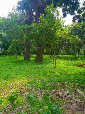 কালীগঞ্জের নাগরী ইউনিয়নে ২০ কাঠা প্রিমিয়াম জমি বিক্রয়