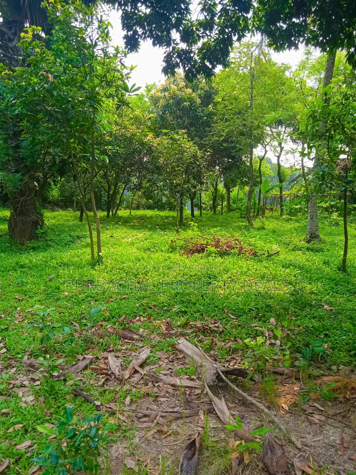 কালীগঞ্জের নাগরী ইউনিয়নে ২০ কাঠা প্রিমিয়াম জমি বিক্রয়