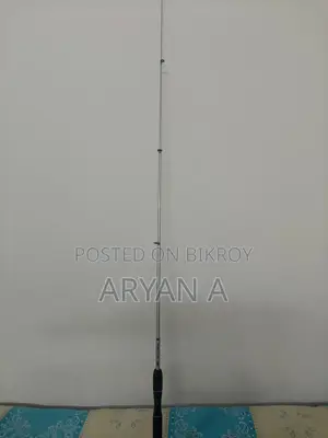 Zebco Fishing Rod