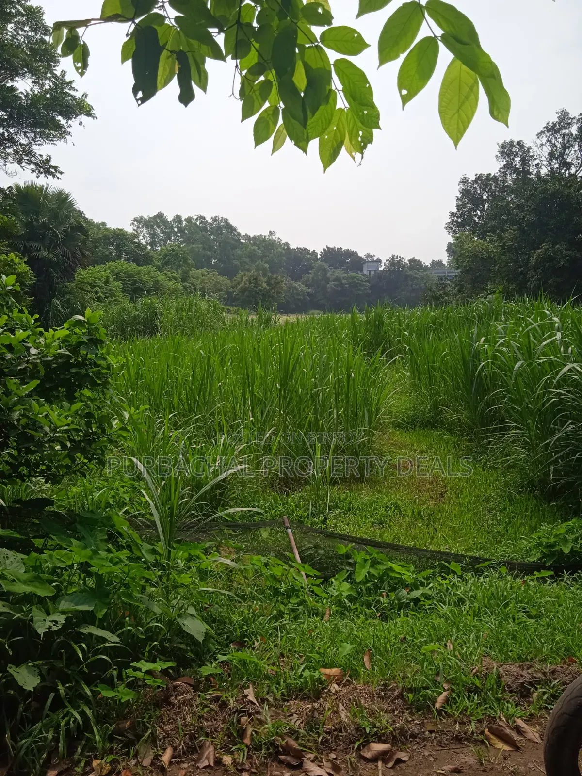 পূর্বাচল ছুটি রিসোর্ট সংলগ্ন ১৮০ হাইওয়ে সংলগ্ন ৩৬শতাংশ জমি বিক্রয়