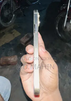 অ্যাপল আইফোন ১২ প্রো ম্যাক্স ১২৮ জিবি গোল্ড