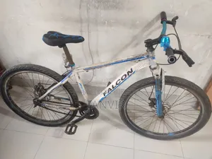 Falcon 300