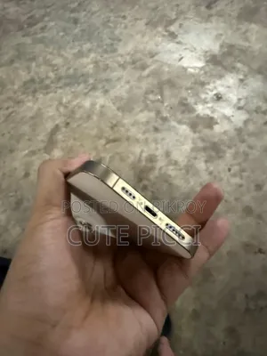 অ্যাপল আইফোন ১২ প্রো ম্যাক্স ৫১২ জিবি গোল্ড