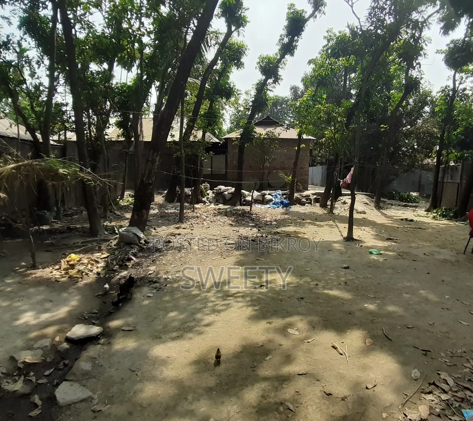 15 Shotansho Land for Sale | 5 Minutes from Rangpur Shapla, Behind Shotoronggi
