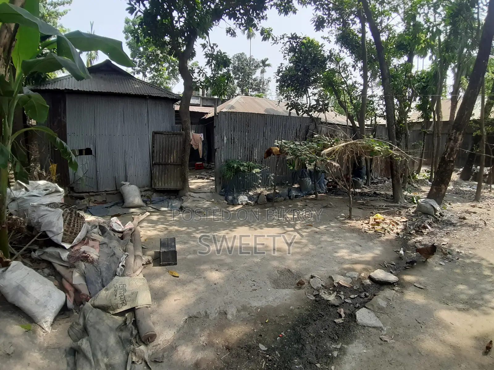15 Shotansho Land for Sale | 5 Minutes from Rangpur Shapla, Behind Shotoronggi
