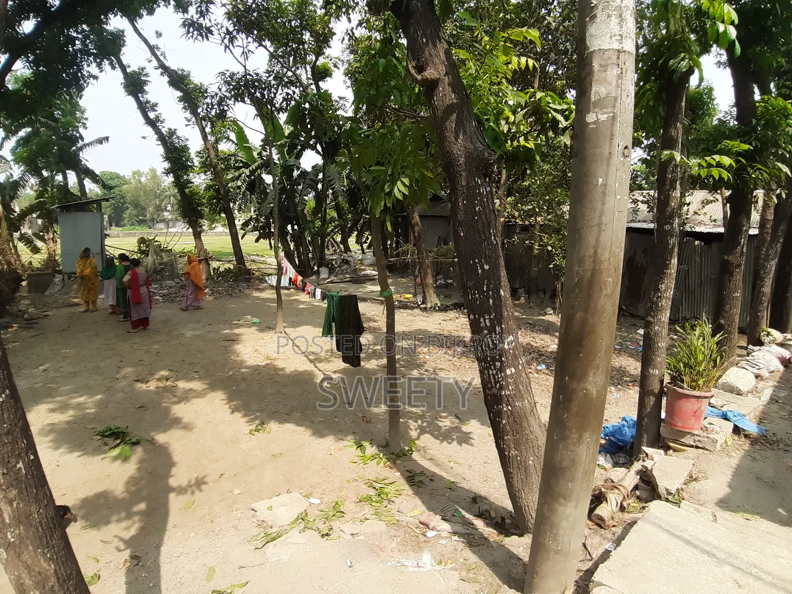 15 Shotansho Land for Sale | 5 Minutes from Rangpur Shapla, Behind Shotoronggi