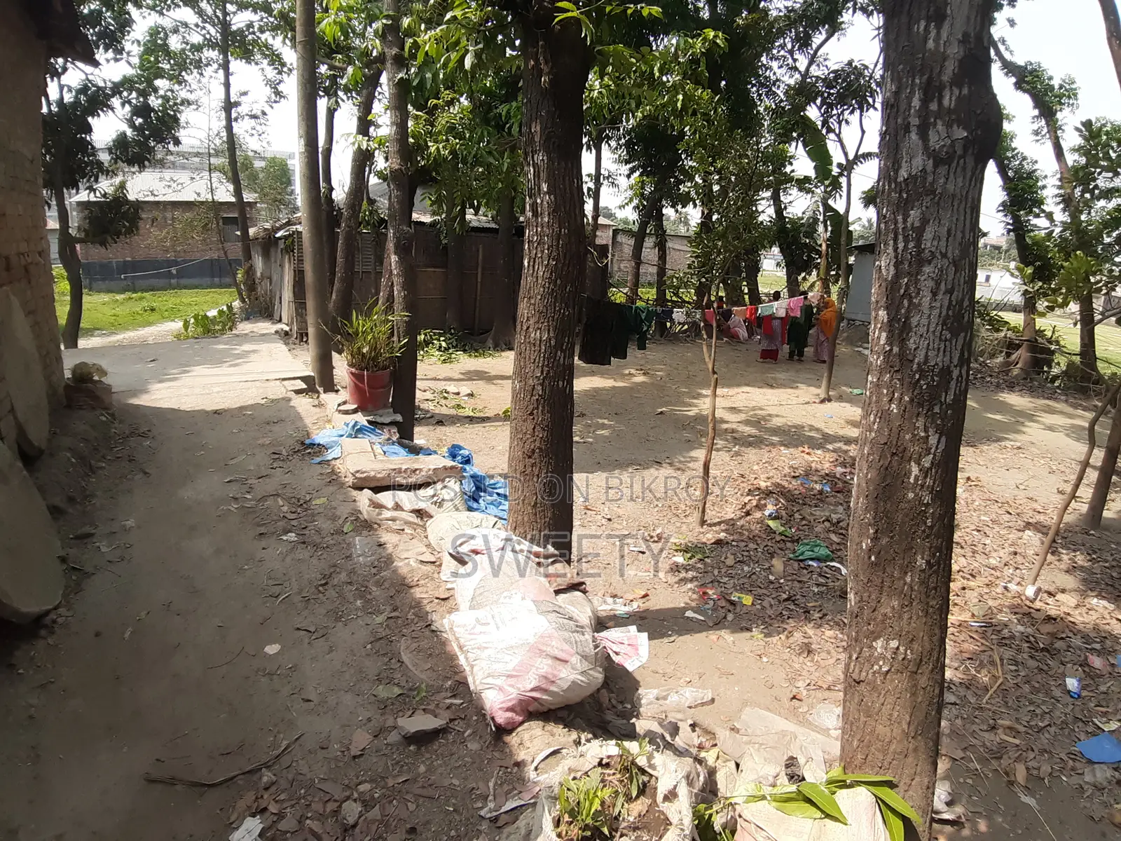 15 Shotansho Land for Sale | 5 Minutes from Rangpur Shapla, Behind Shotoronggi