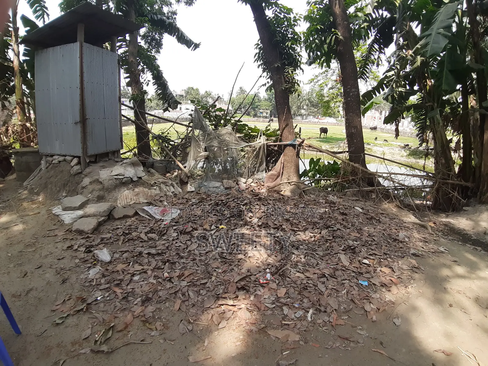 15 Shotansho Land for Sale | 5 Minutes from Rangpur Shapla, Behind Shotoronggi