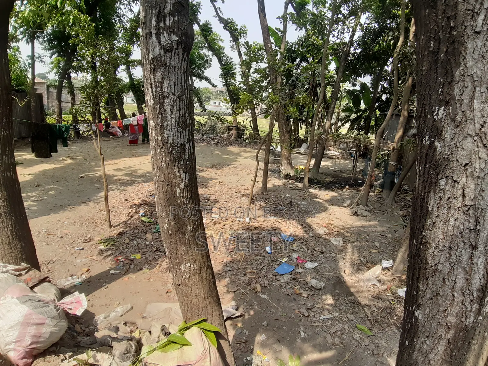 15 Shotansho Land for Sale | 5 Minutes from Rangpur Shapla, Behind Shotoronggi