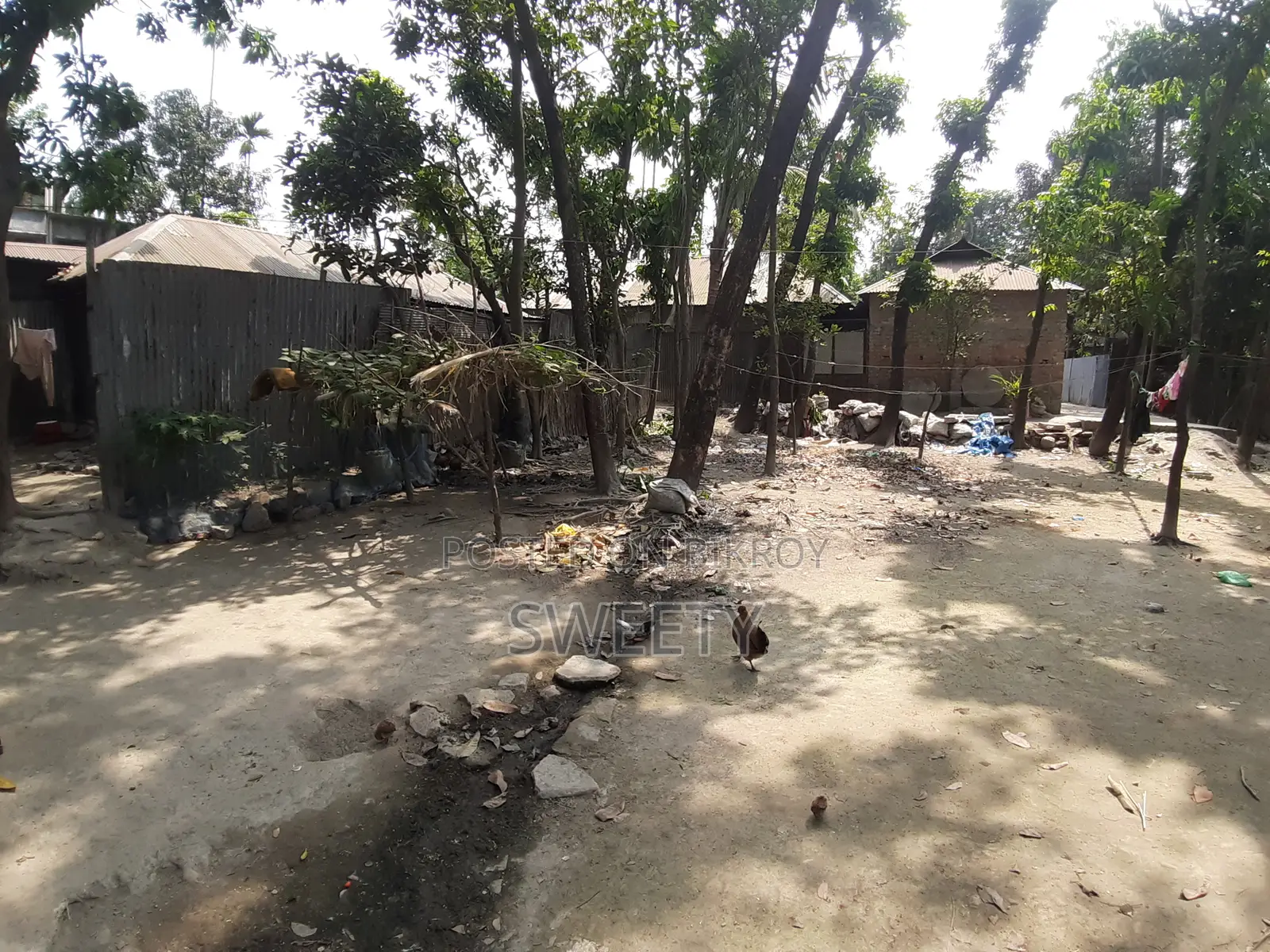 15 Shotansho Land for Sale | 5 Minutes from Rangpur Shapla, Behind Shotoronggi