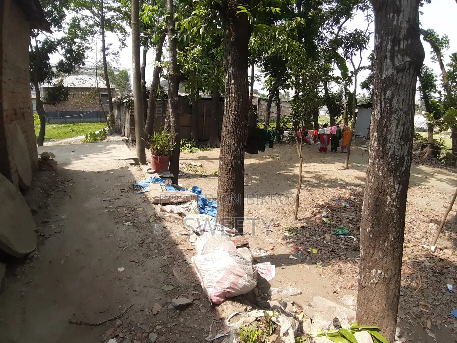 15 Shotansho Land for Sale | 5 Minutes from Rangpur Shapla, Behind Shotoronggi
