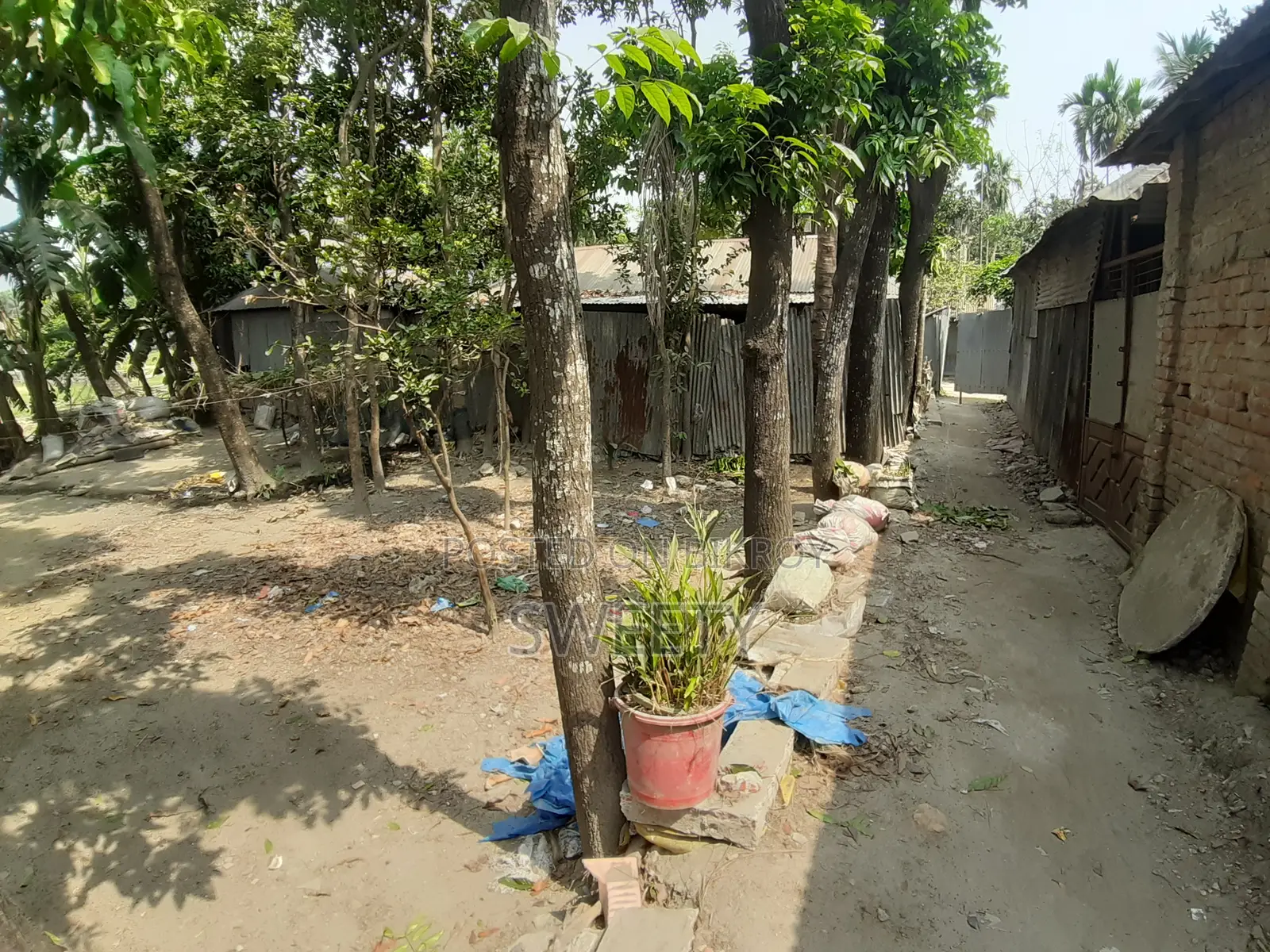 15 Shotansho Land for Sale | 5 Minutes from Rangpur Shapla, Behind Shotoronggi