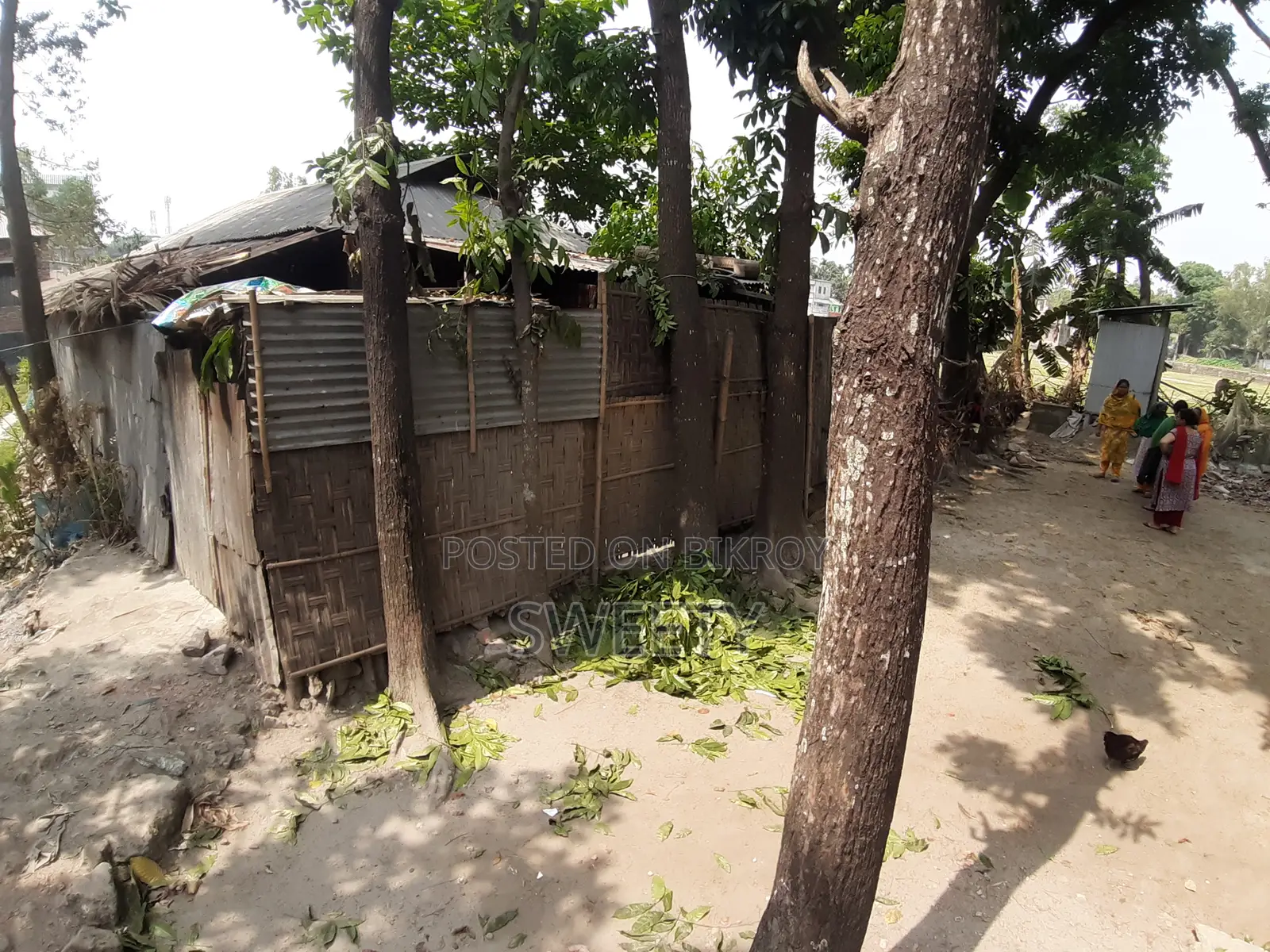 15 Shotansho Land for Sale | 5 Minutes from Rangpur Shapla, Behind Shotoronggi