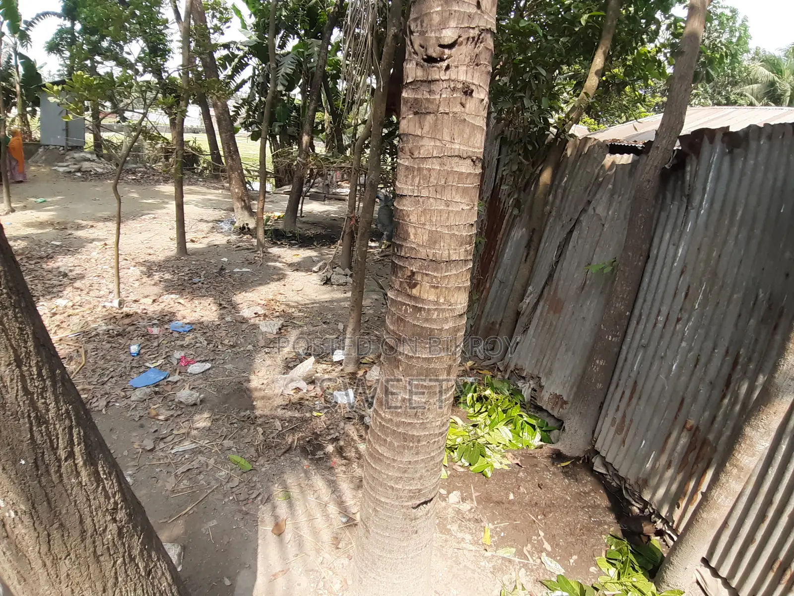 15 Shotansho Land for Sale | 5 Minutes from Rangpur Shapla, Behind Shotoronggi