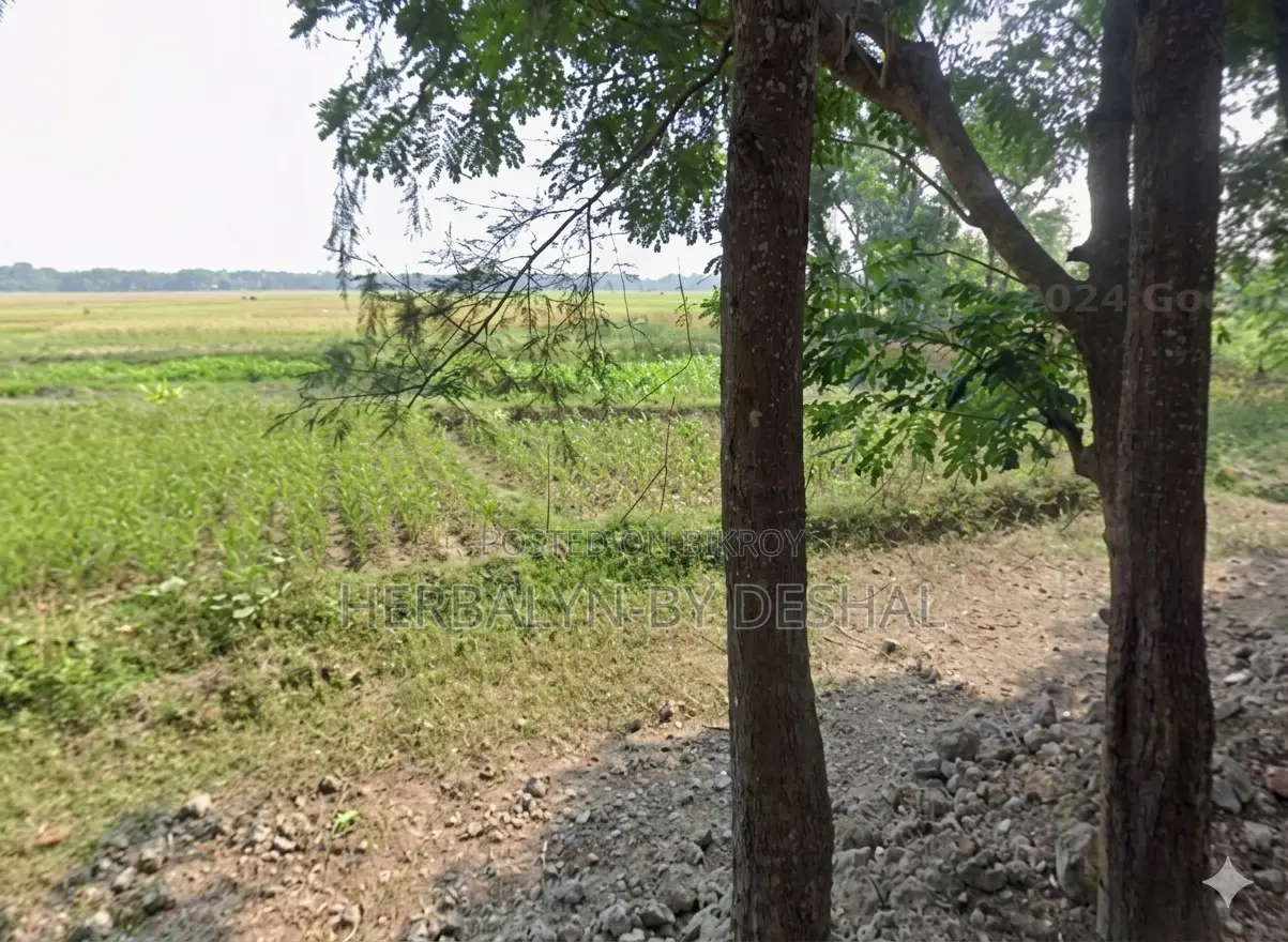 উত্তর জোয়ারা, চন্দনাইশে ৩৩.৮৬ শতক জমি বিক্রয়