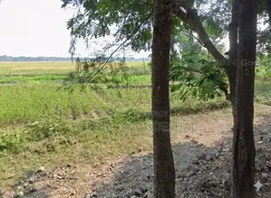 উত্তর জোয়ারা, চন্দনাইশে ৩৩.৮৬ শতক জমি বিক্রয়