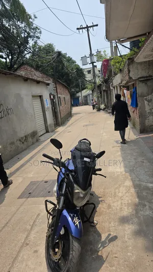 এসওয়াইএম এক্সপ্রো ২০১৭ বেগুনি