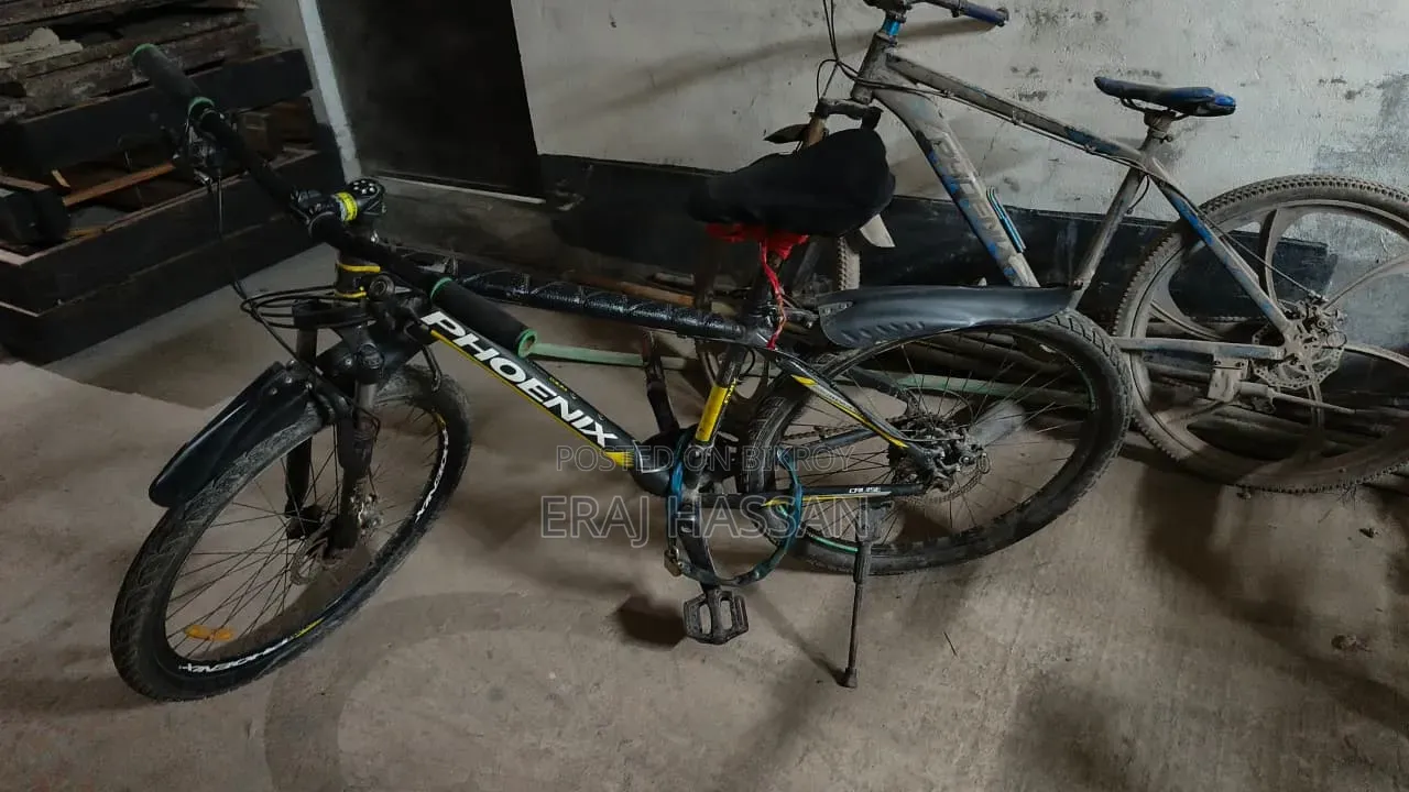 Phonix New Condition