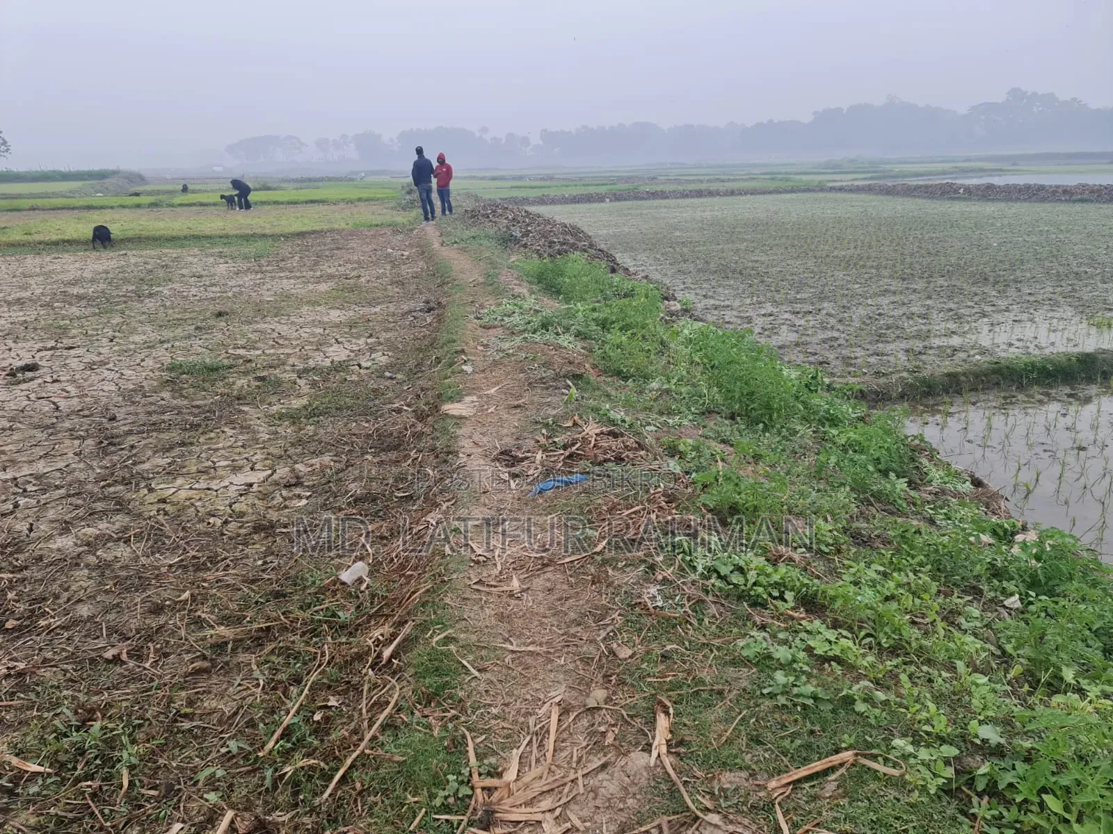 Land for sale