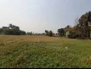 10 Bigha Land