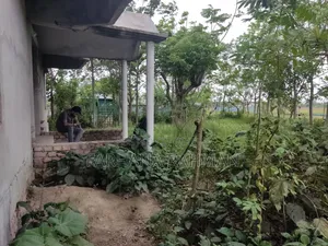4-Bedroom Bungalow in Batiaghata for sale