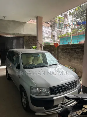 Toyota Probox 2010 Silver