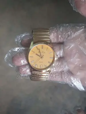 Erwin Pearl Automatic Manual Movement Watch