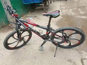 Phoenix Bicycle